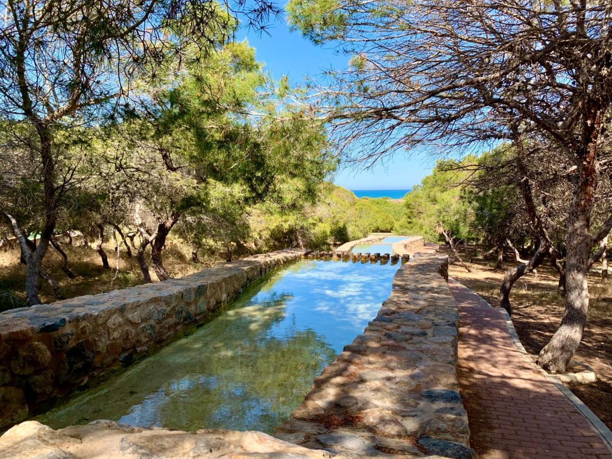 Your Holidays In La Mata トレビエハ エクステリア 写真