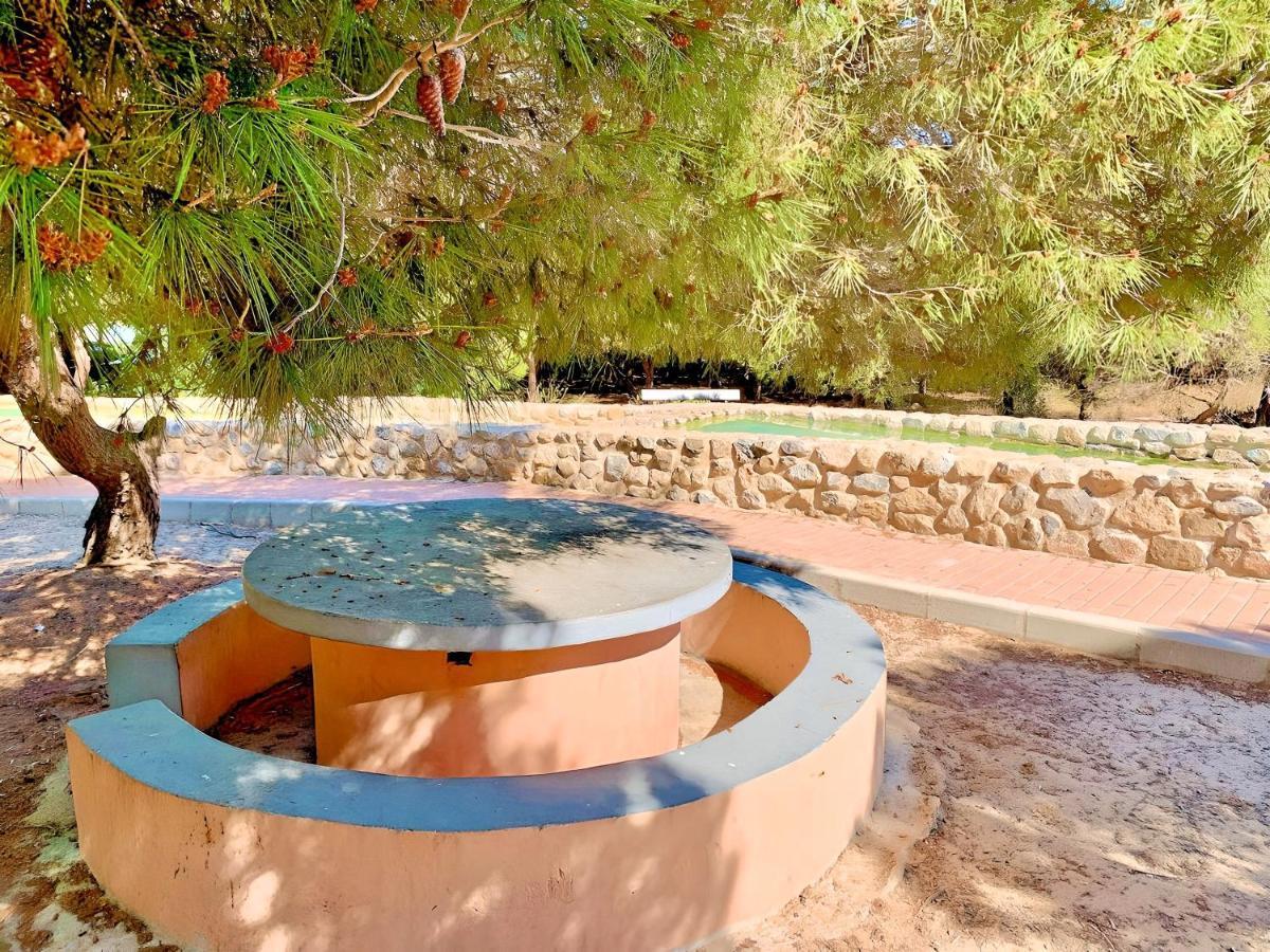 Your Holidays In La Mata トレビエハ エクステリア 写真